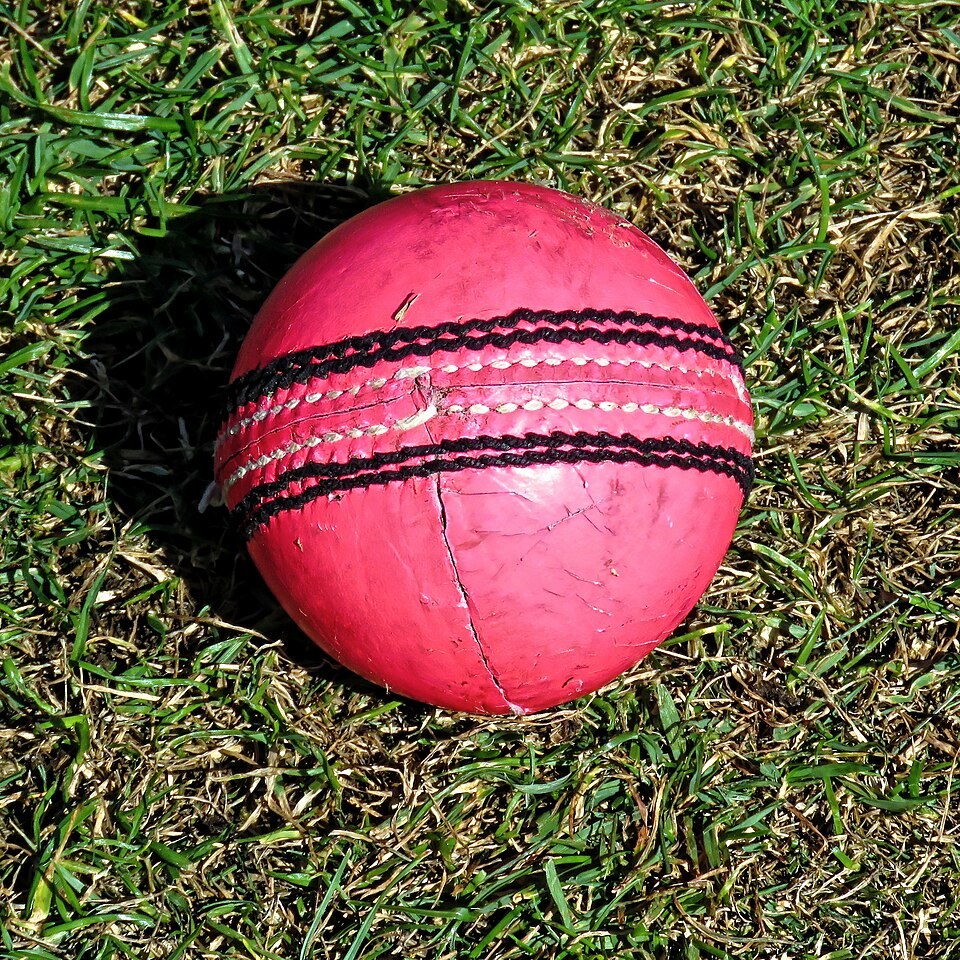 Cricket