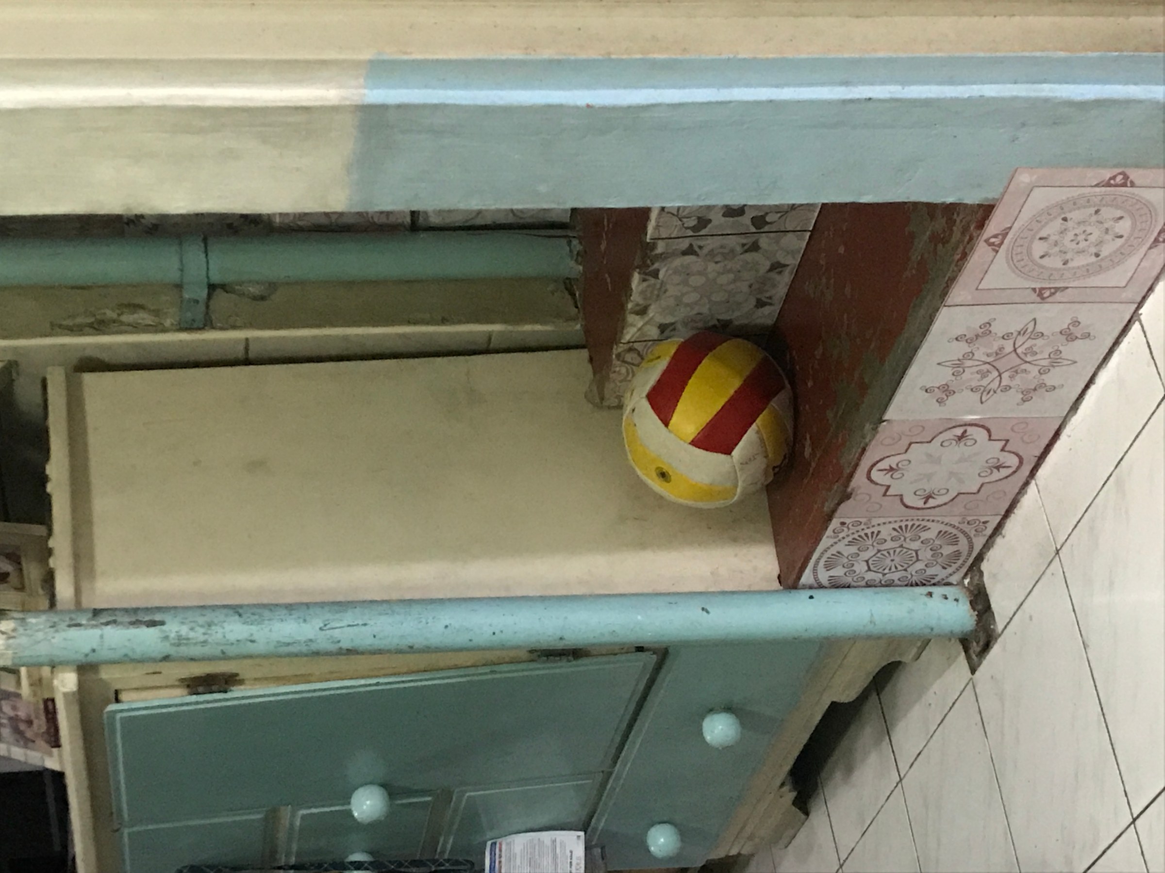 Volleybal